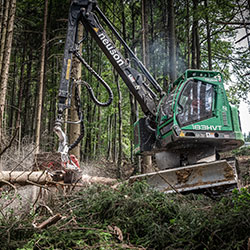 Holzernte Harvester - Glück forstservice Gmbh Salzburg