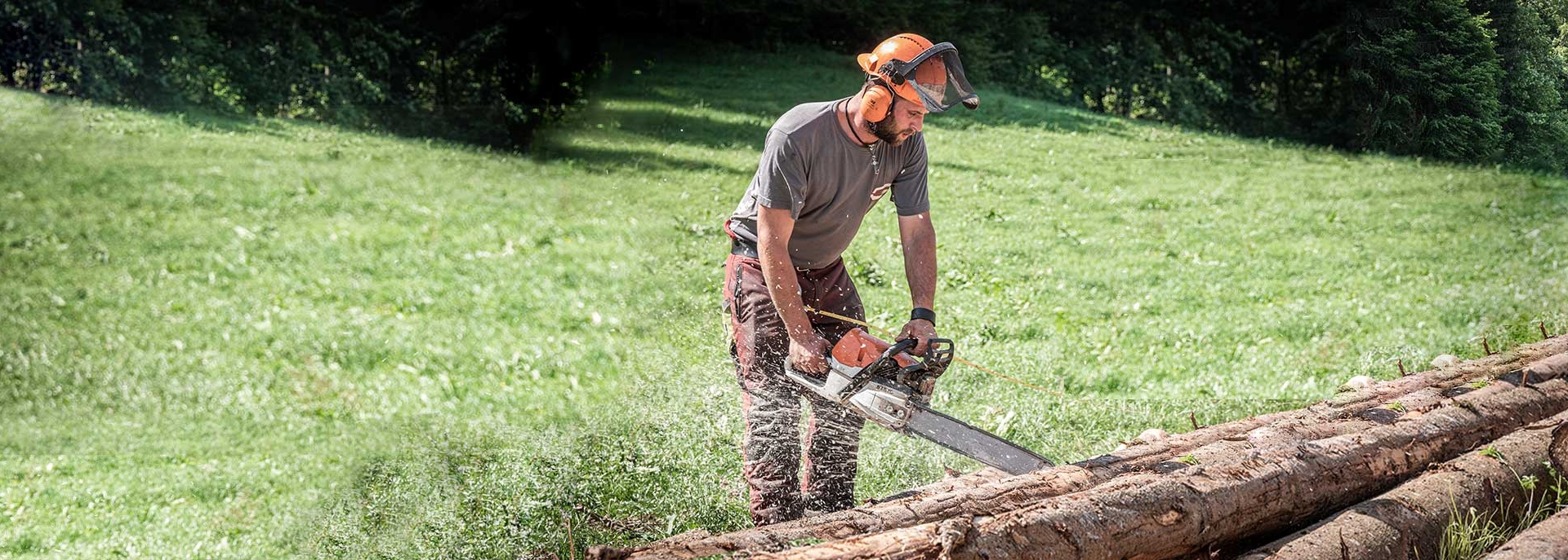 GLÜCK Forstservice - Durchforstung Holzschlägerung und Baumfällung