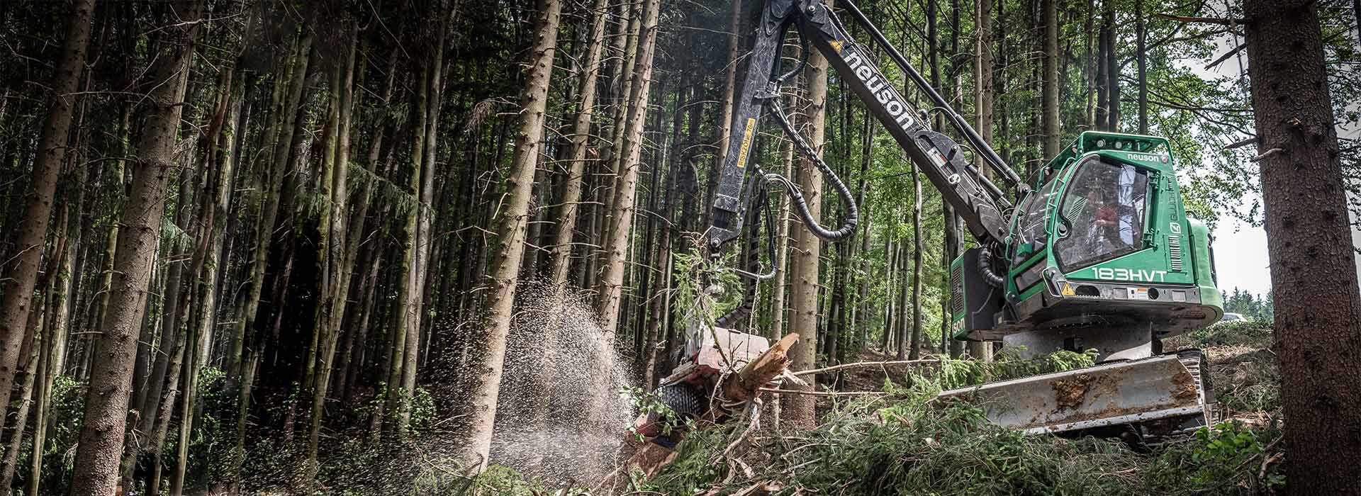 holzernte - Holzschlägerungsunternehmen Salzburg Glück Forstservice - Holz Glück 