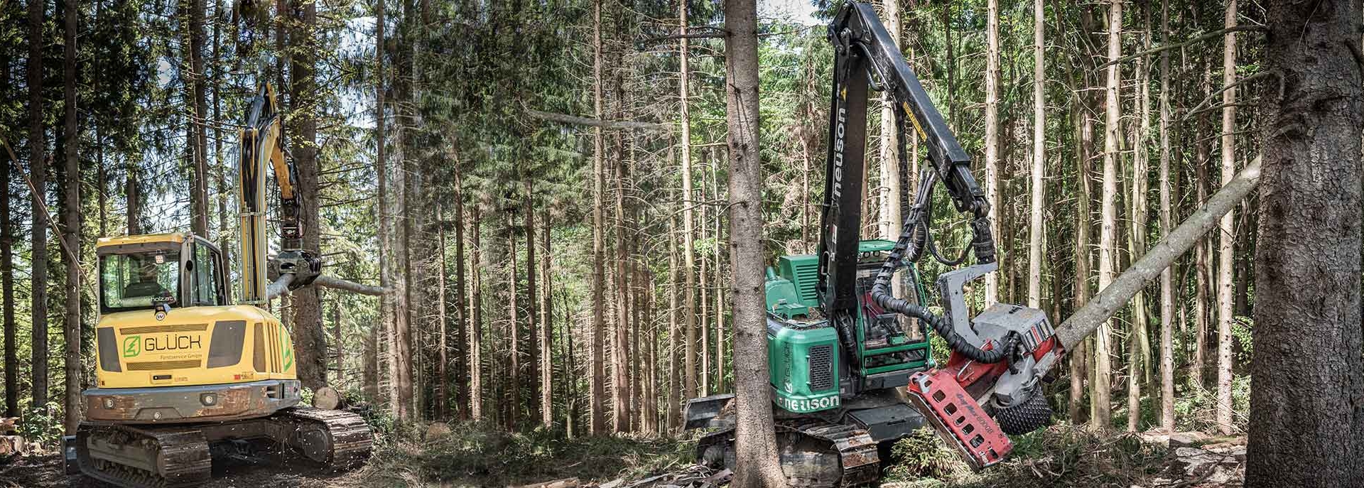 Baumfäller Holzfäller Salzburg - Glück Hozschlägerungen
